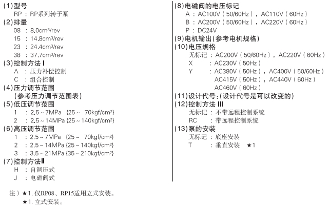 rpumps_model_b